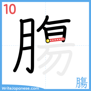 How to write "膓" - stroke 10