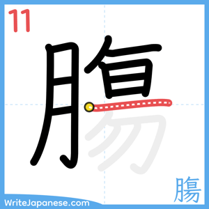 How to write "膓" - stroke 11
