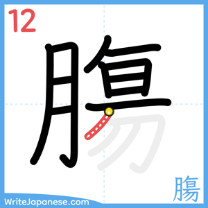 How to write "膓" - stroke 12