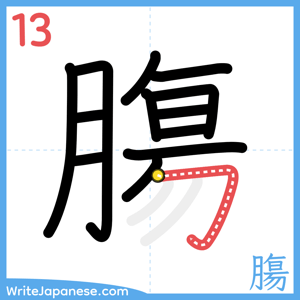 How to write "膓" - stroke 13
