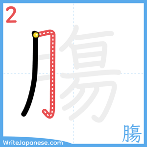 How to write "膓" - stroke 2