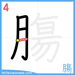 How to write "膓" - stroke 4