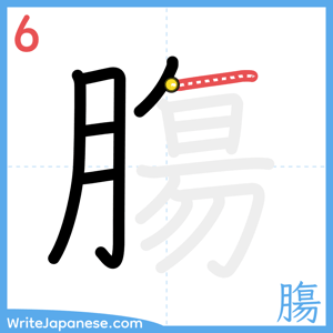 How to write "膓" - stroke 6