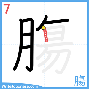 How to write "膓" - stroke 7