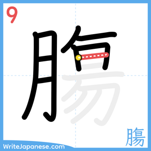 How to write "膓" - stroke 9