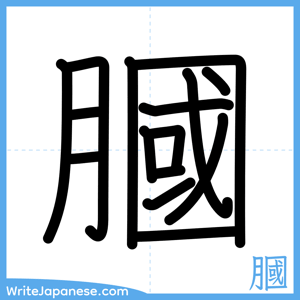 How to write "膕" - complete stroke order