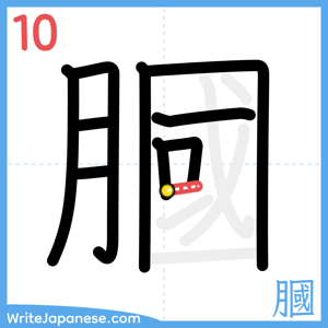 How to write "膕" - stroke 10