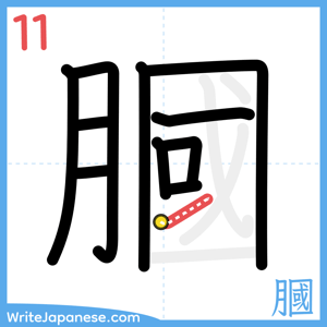 How to write "膕" - stroke 11