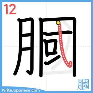 How to write "膕" - stroke 12