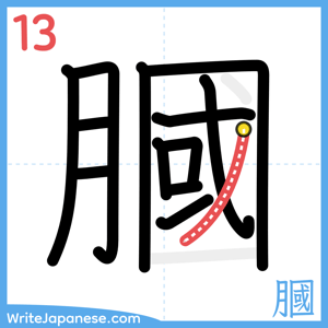 How to write "膕" - stroke 13