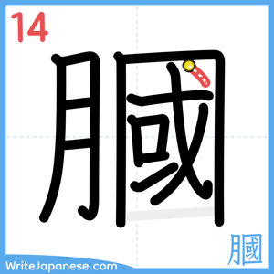 How to write "膕" - stroke 14