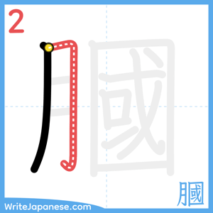 How to write "膕" - stroke 2