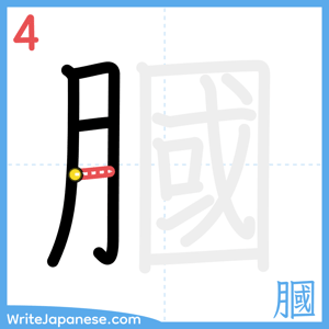 How to write "膕" - stroke 4