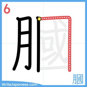 How to write "膕" - stroke 6