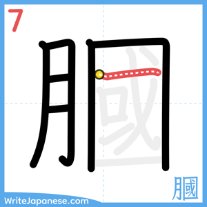 How to write "膕" - stroke 7