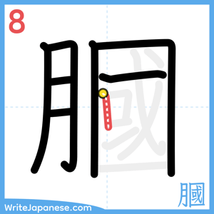 How to write "膕" - stroke 8