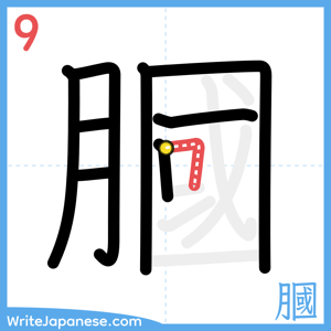How to write "膕" - stroke 9