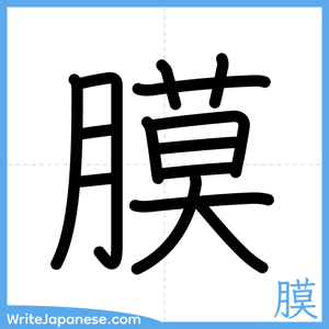 How to write "膜" - complete stroke order