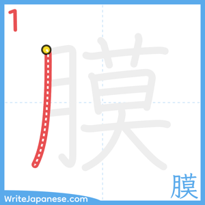 How to write "膜" - stroke 1