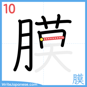 How to write "膜" - stroke 10