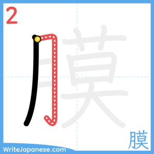 How to write "膜" - stroke 2