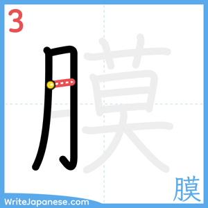 How to write "膜" - stroke 3