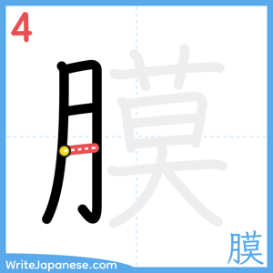 How to write "膜" - stroke 4
