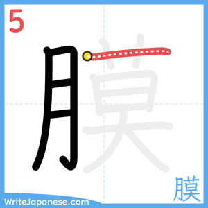 How to write "膜" - stroke 5