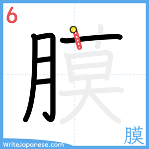 How to write "膜" - stroke 6