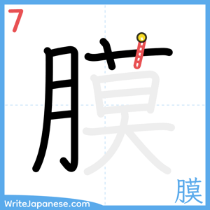 How to write "膜" - stroke 7