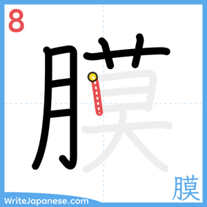 How to write "膜" - stroke 8