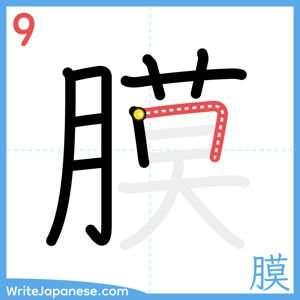 How to write "膜" - stroke 9