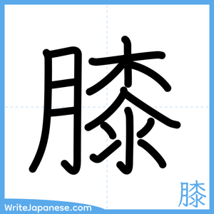 How to write "膝" - complete stroke order