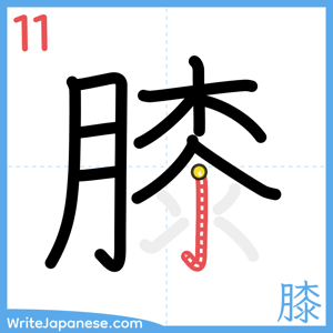 How to write "膝" - stroke 11