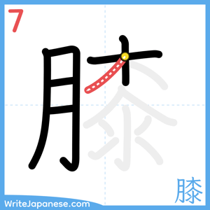 How to write "膝" - stroke 7