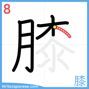 How to write "膝" - stroke 8