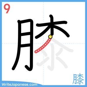 How to write "膝" - stroke 9