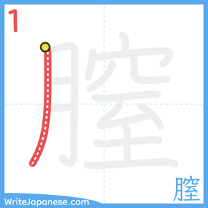 How to write "膣" - stroke 1