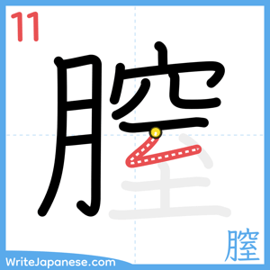 How to write "膣" - stroke 11