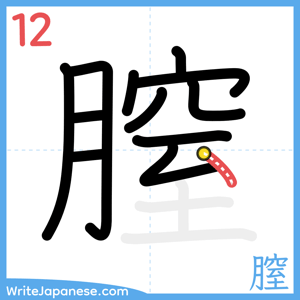 How to write "膣" - stroke 12