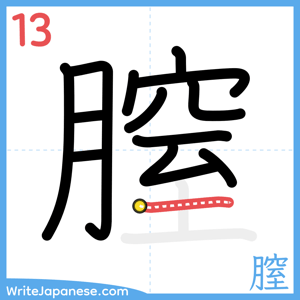 How to write "膣" - stroke 13