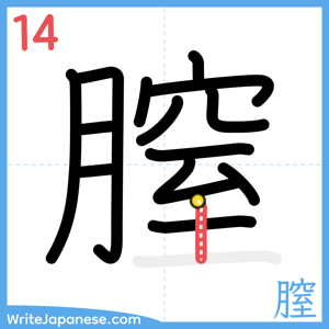 How to write "膣" - stroke 14