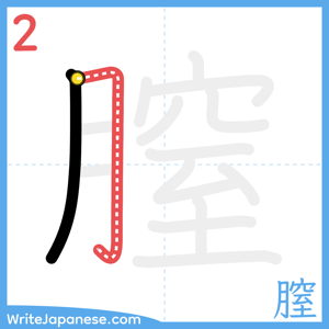 How to write "膣" - stroke 2