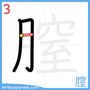 How to write "膣" - stroke 3