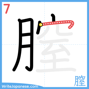 How to write "膣" - stroke 7