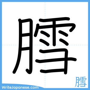 How to write "膤" - complete stroke order