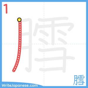 How to write "膤" - stroke 1