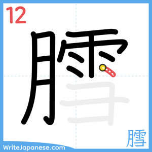 How to write "膤" - stroke 12