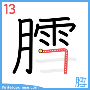 How to write "膤" - stroke 13