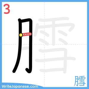 How to write "膤" - stroke 3